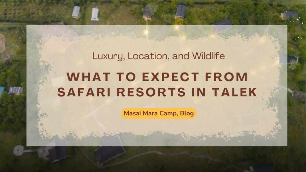 what-to-expect-from-safari-resorts-in-talek