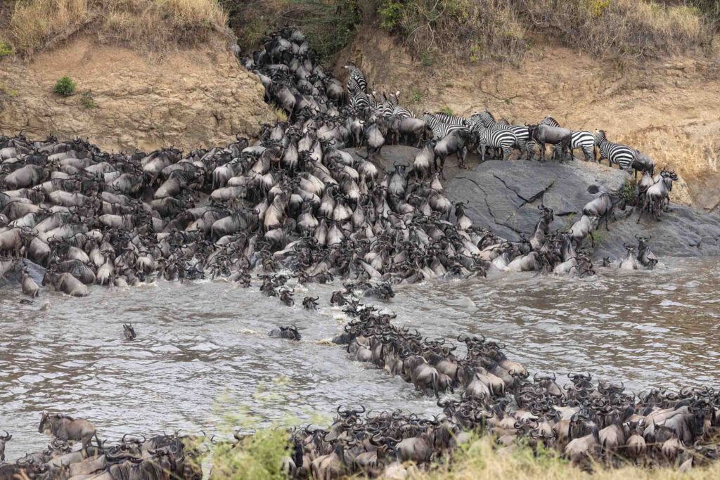 Masai Mara photography tours
