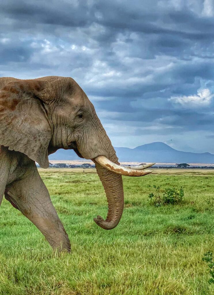 Masai Mara photography tour packages