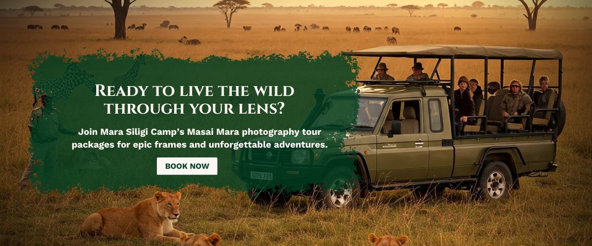Masai Mara photography tour packages