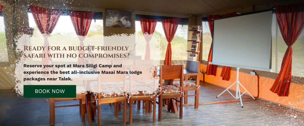 Masai Mara lodge