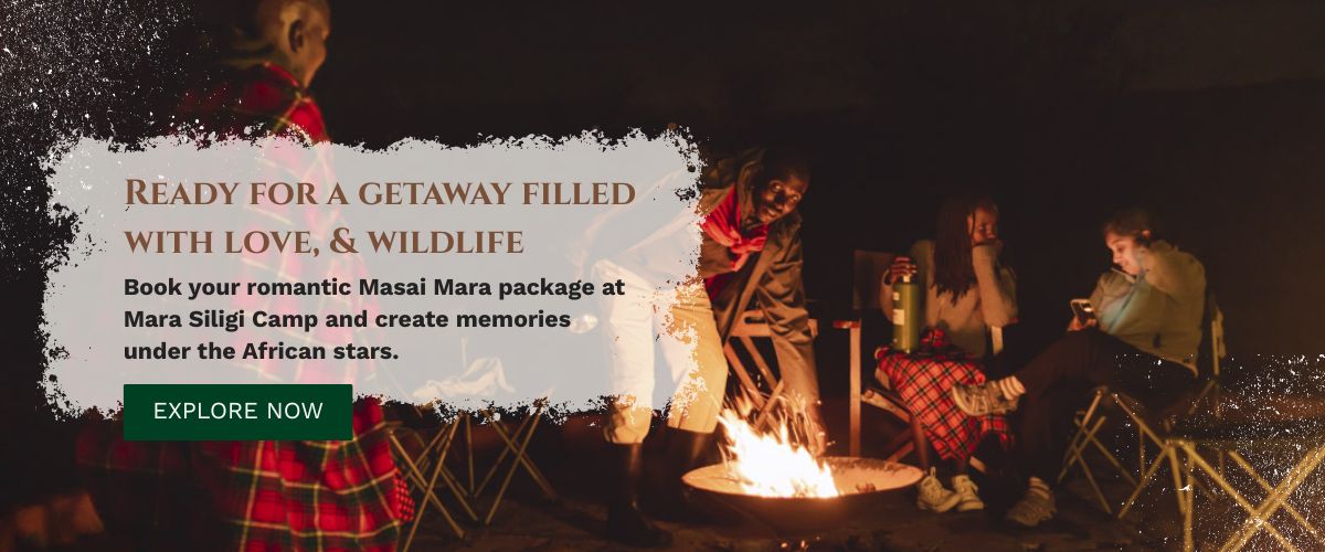 Masai Mara packages