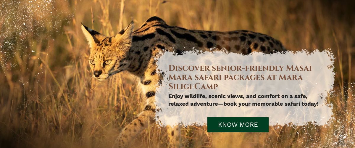 Masai Mara tour packages