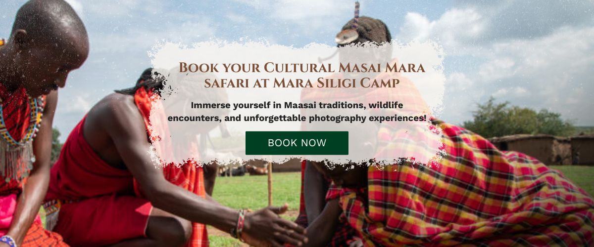 Masai Mara packages