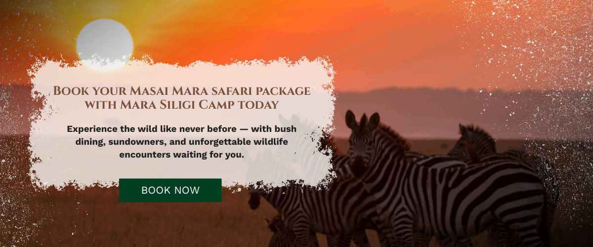 Masai Mara Safari