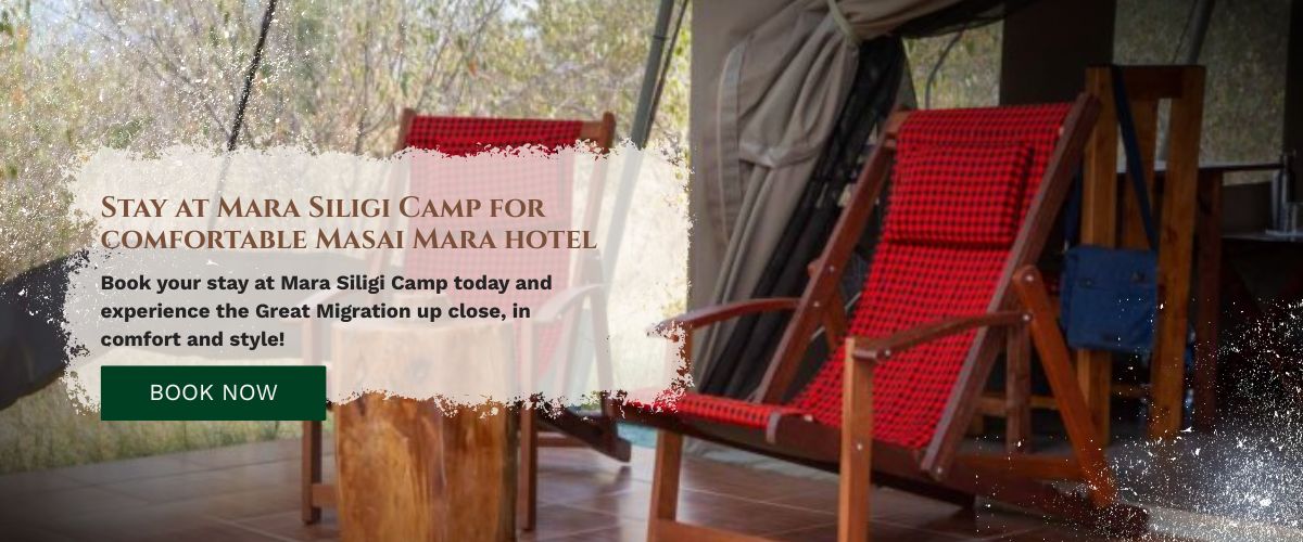 masai mara hotel