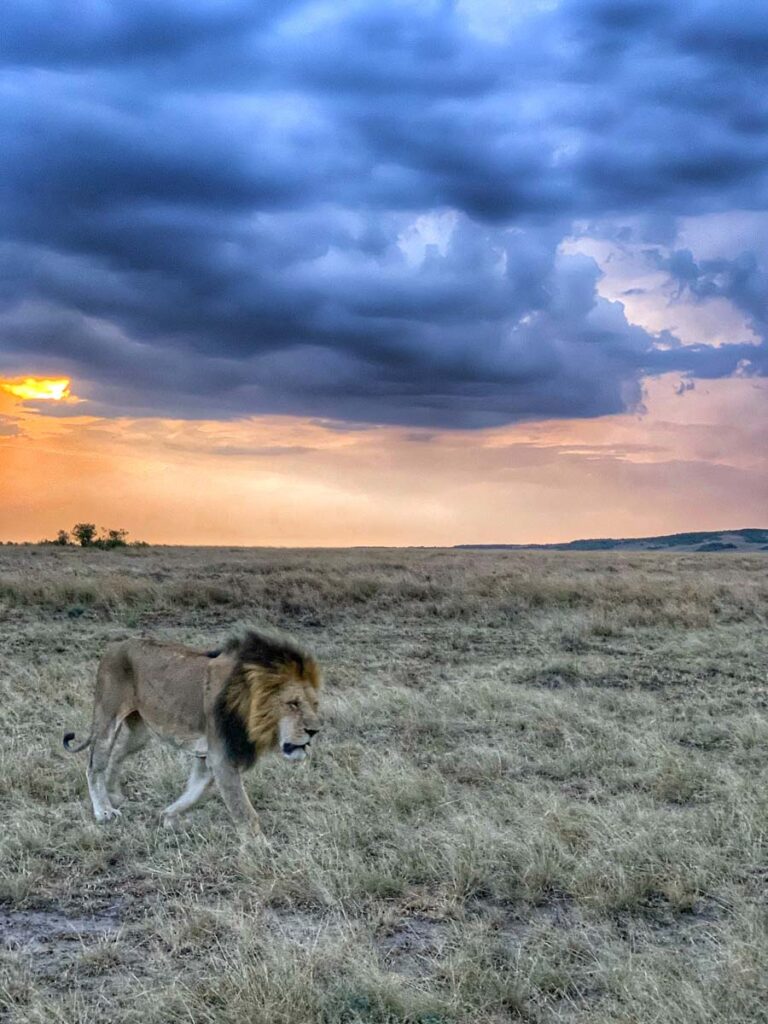 Masai Mara packages
