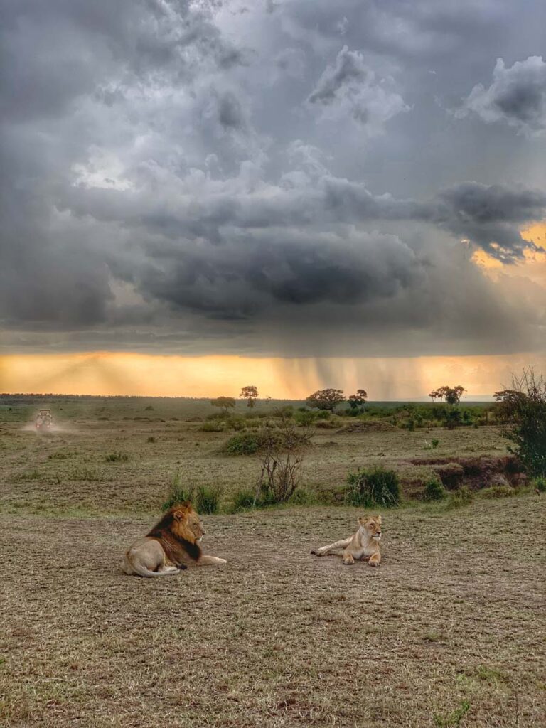 Masai Mara packages