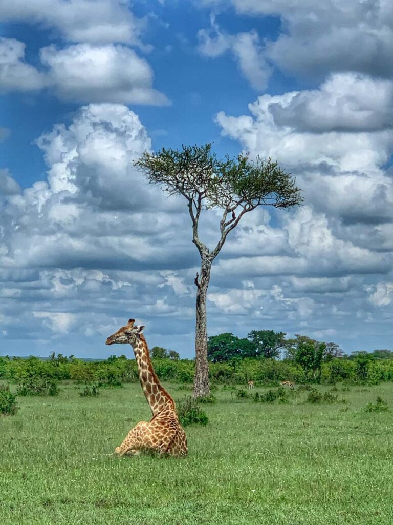 Masai Mara packages