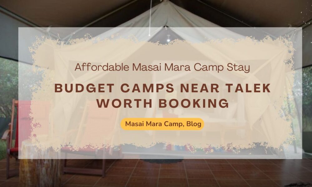 affordable-masai-mara-camp-stay-budget-camps-near-talek-worth-booking