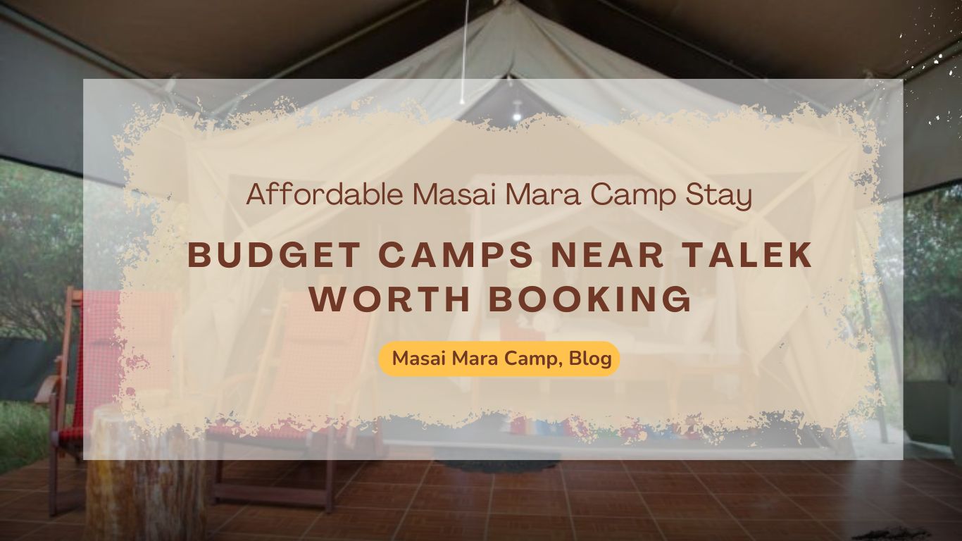 affordable-masai-mara-camp-stay-budget-camps-near-talek-worth-booking