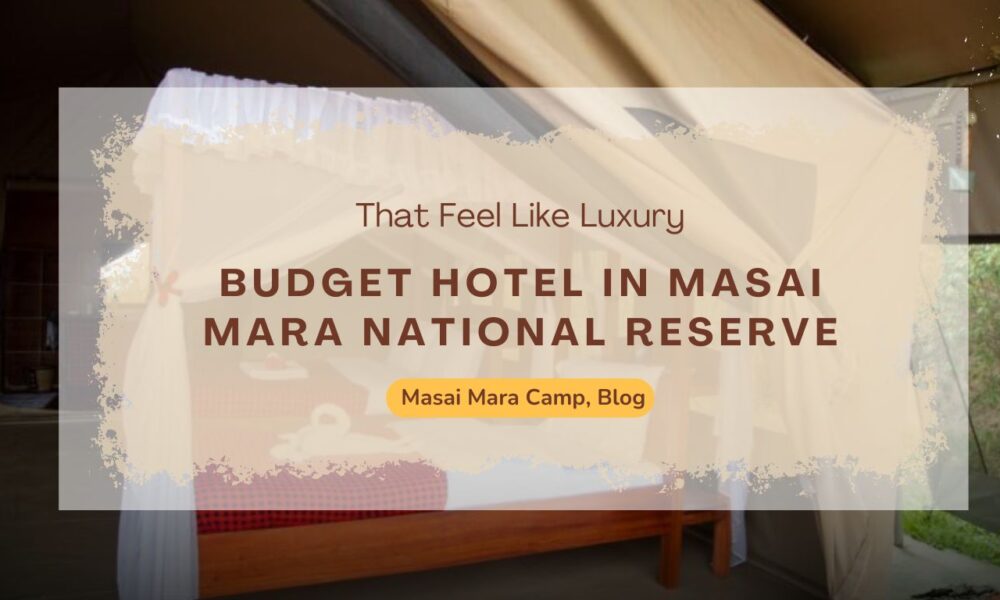 budget-hotels-in-masai-mara-national-reserve-that-feel-like-luxury
