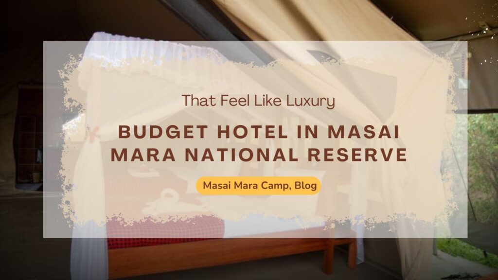 budget-hotels-in-masai-mara-national-reserve-that-feel-like-luxury