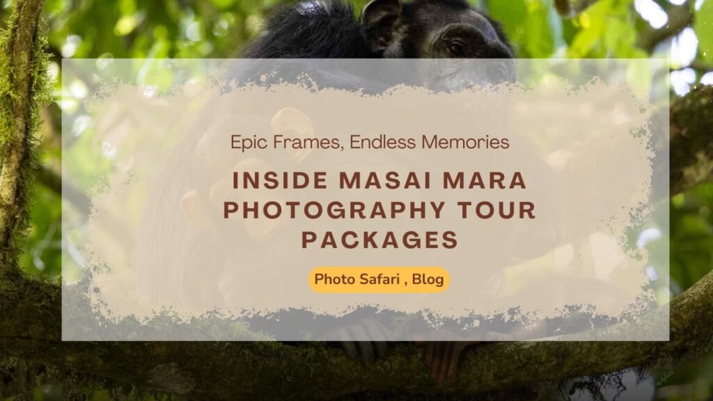 epic-frames-endless-memories-inside-masai-mara-photography-tour-packages