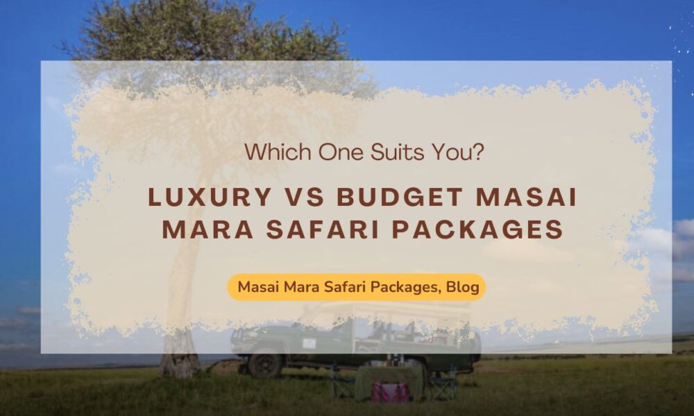 luxury-vs-budget-masai-mara-safari-packages-which-one-suits-you