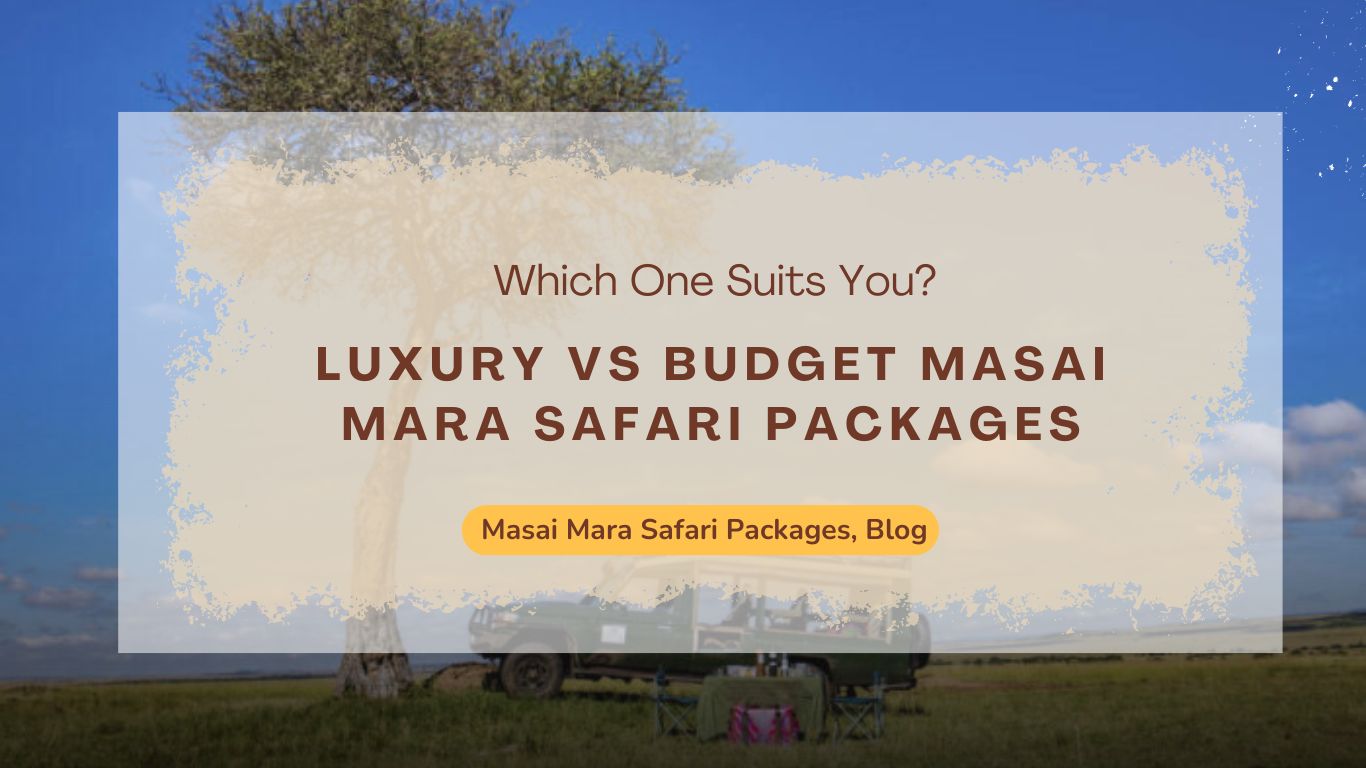 luxury-vs-budget-masai-mara-safari-packages-which-one-suits-you