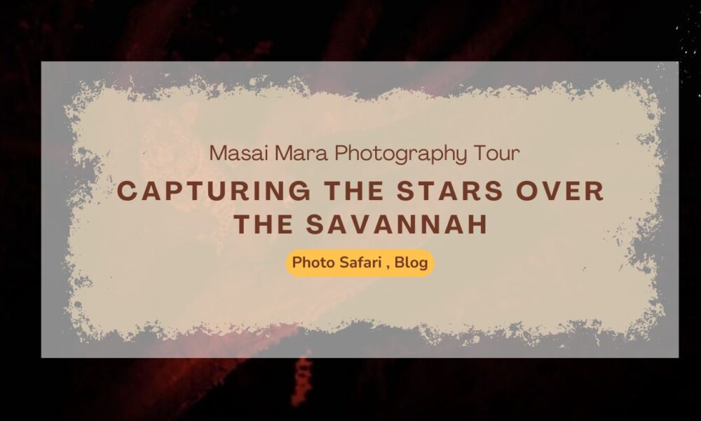 masai-mara-photography-tour-capturing-the-stars-over-the-savannah