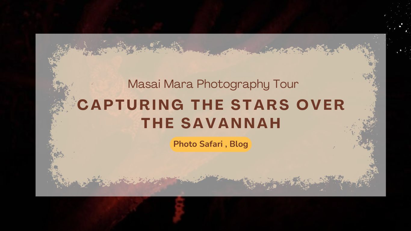 masai-mara-photography-tour-capturing-the-stars-over-the-savannah
