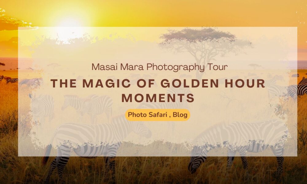 masai-mara-photography-tours-and-the-magic-of-golden-hour-moments