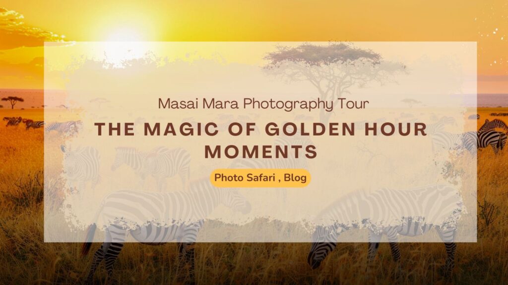 masai-mara-photography-tours-and-the-magic-of-golden-hour-moments