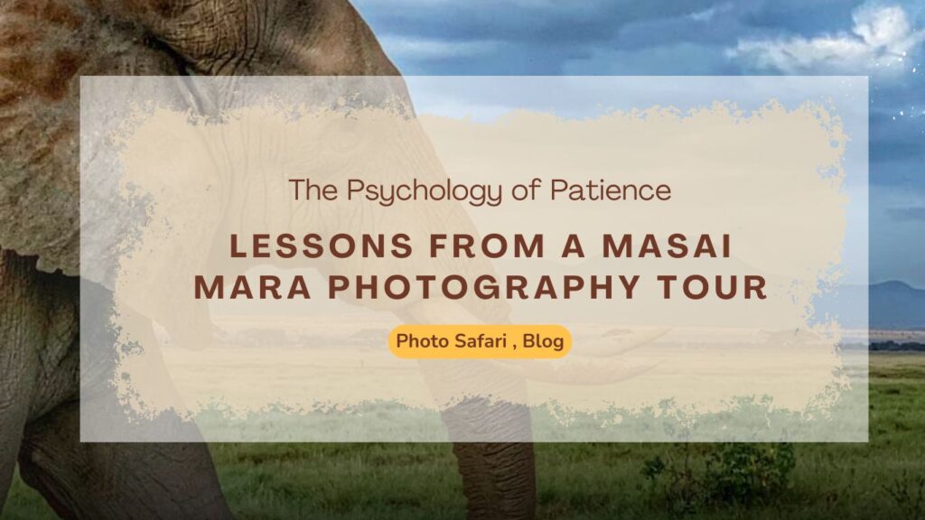 the-psychology-of-patience-lessons-from-a-masai-mara-photography-tour