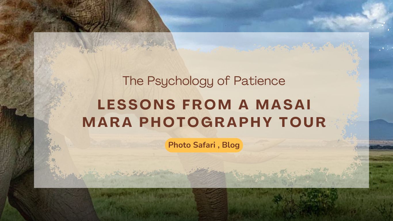 the-psychology-of-patience-lessons-from-a-masai-mara-photography-tour