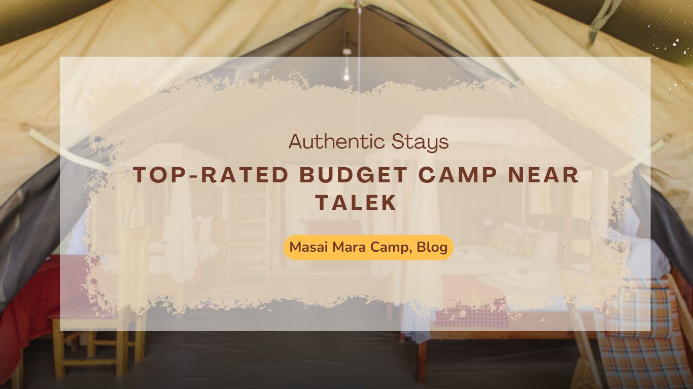 top-rated-budget-camp-near-talek-authentic-stays