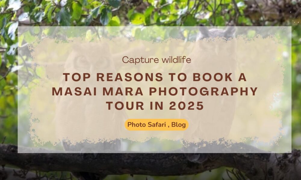 top-reasons-to-book-a-masai-mara-photography-tour-in-2025