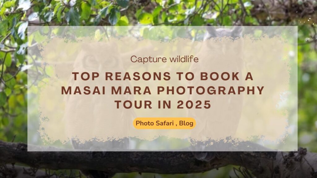 top-reasons-to-book-a-masai-mara-photography-tour-in-2025