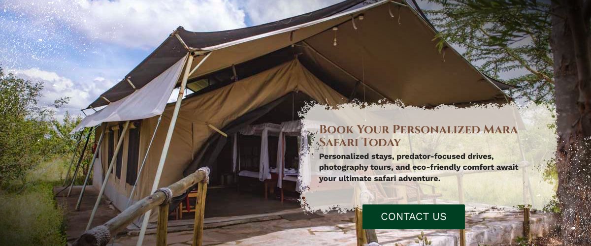 Masai mara camps and lodges