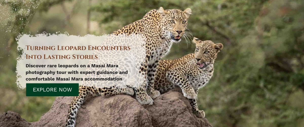 Masai Mara photography tours