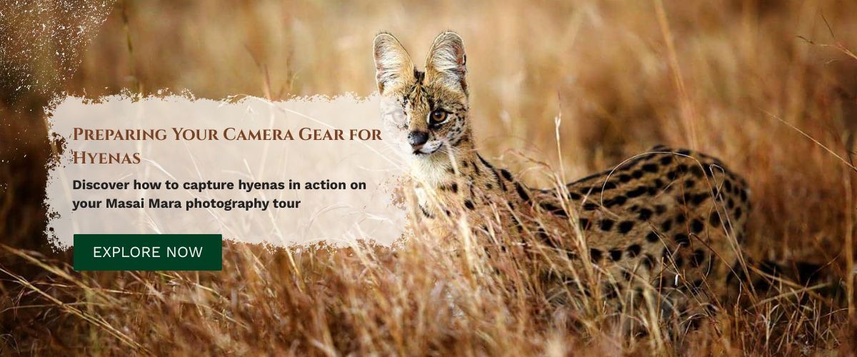 Masai Mara photography tours