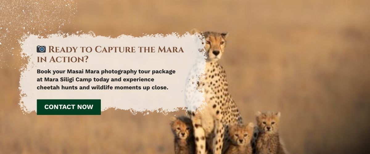 Masai Mara photography tour packages