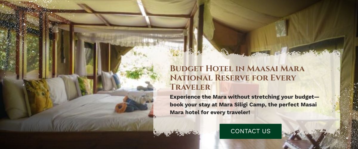 Budget Hotel in Maasai Mara National Reserve