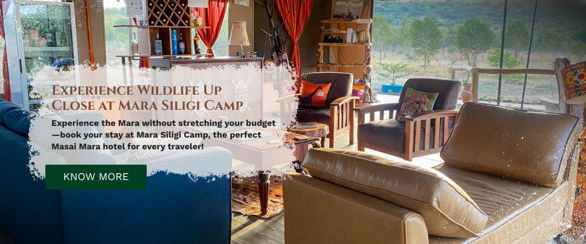 masai mara hotel