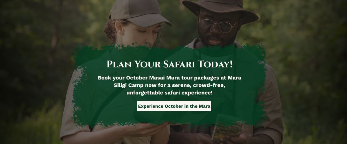 Masai Mara tours packages