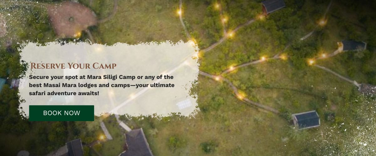 masai mara camp