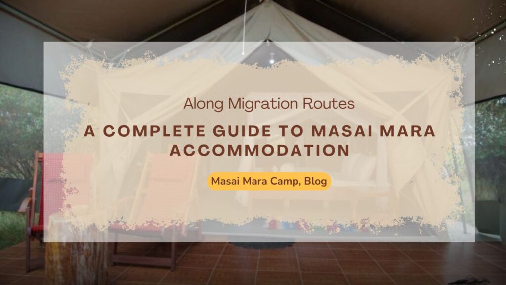 a-complete-guide-to-masai-mara-accommodation-option-along-migration-routes