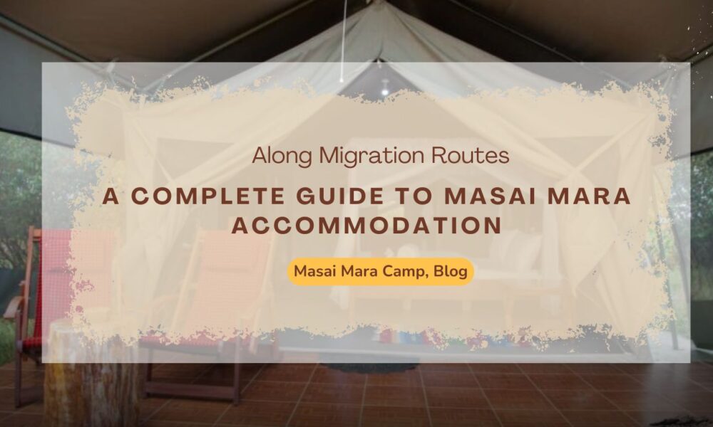 a-complete-guide-to-masai-mara-accommodation-option-along-migration-routes