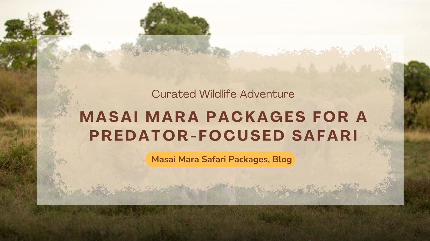 choosing-the-right-masai-mara-packages-for-a-predator-focused-safari