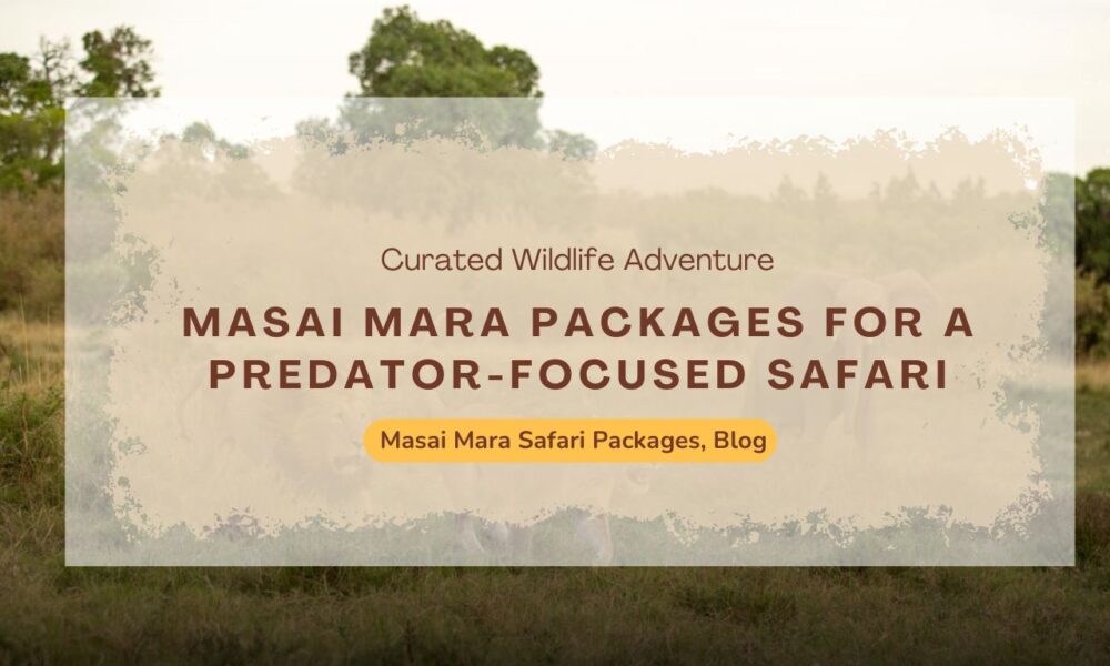 choosing-the-right-masai-mara-packages-for-a-predator-focused-safari