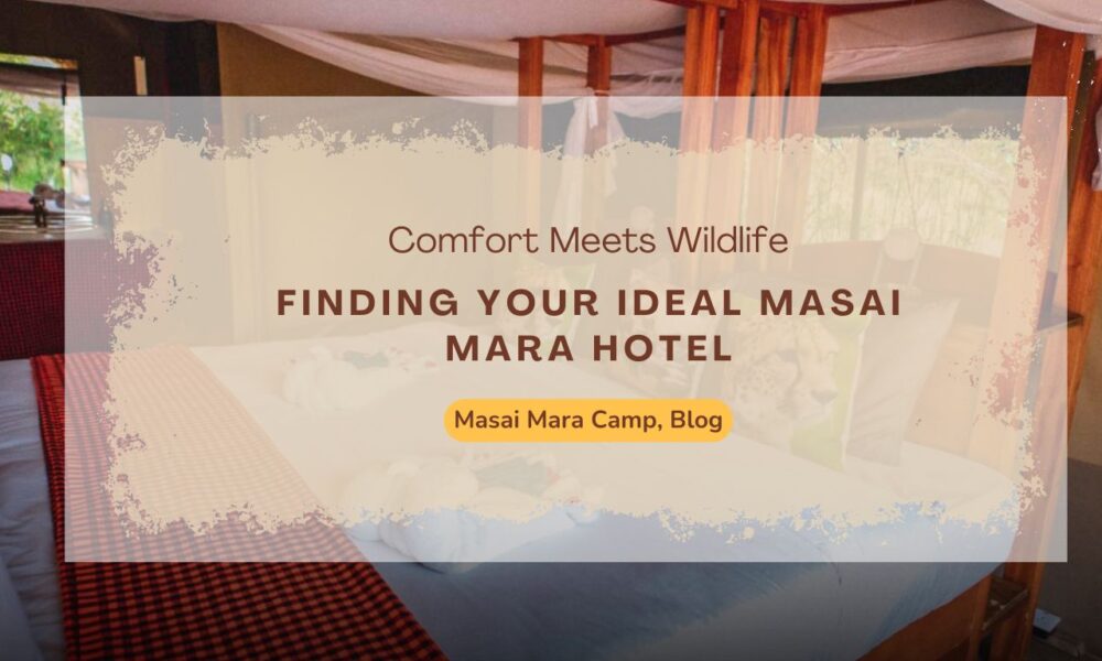 finding-your-ideal-masai-mara-hotel-comfort-meets-wildlife
