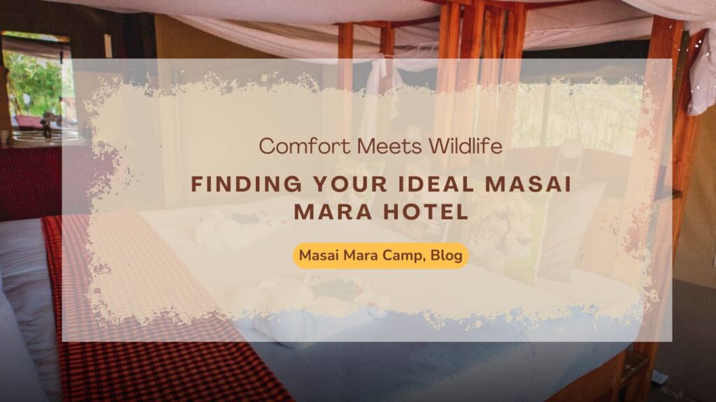 finding-your-ideal-masai-mara-hotel-comfort-meets-wildlife
