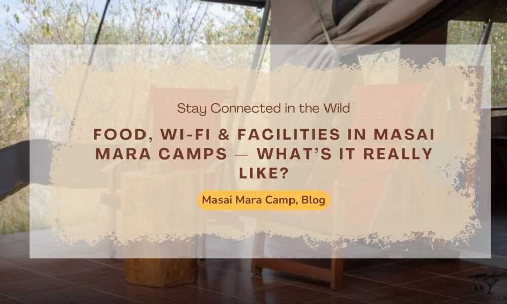 food-wi-fi-&-facilities-in-masai-mara-camps-what’s-it-really-like