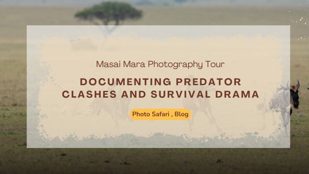 masai-mara-photography-tour-documenting-predator-clashes-and-survival-drama