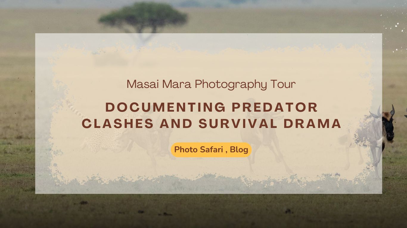 masai-mara-photography-tour-documenting-predator-clashes-and-survival-drama