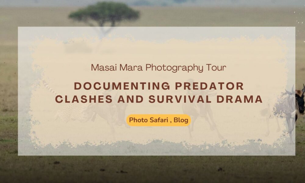 masai-mara-photography-tour-documenting-predator-clashes-and-survival-drama