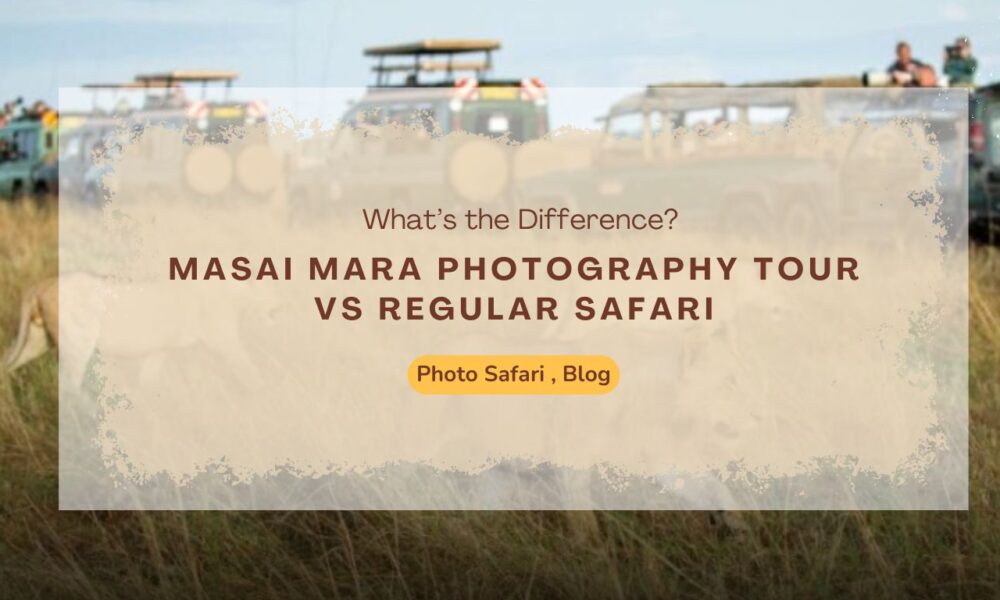 masai-mara-photography-tour-vs-regular-safari-what’s-the-difference
