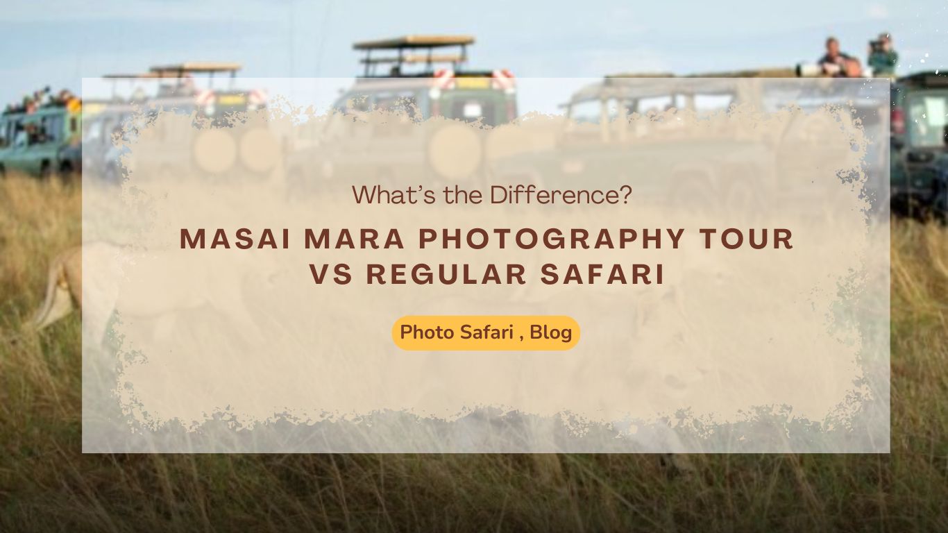 masai-mara-photography-tour-vs-regular-safari-what’s-the-difference