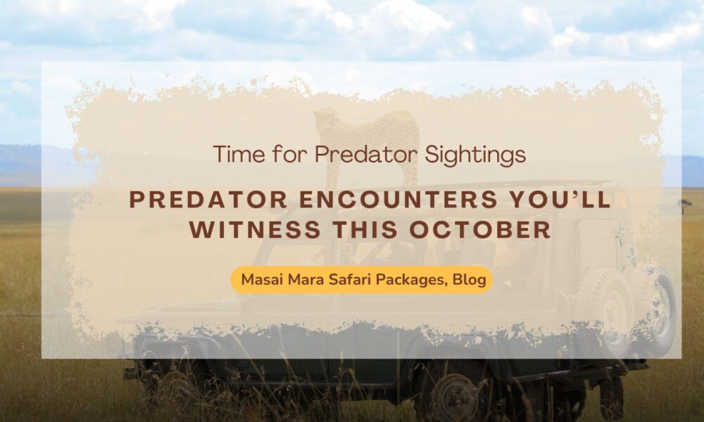 predator-encounters-you’ll-witness-on-masai-mara-safari-packages-this-october